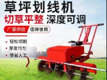 點(diǎn)擊查看詳細(xì)信息<br>標(biāo)題：草皮劃線(xiàn)機(jī) 閱讀次數(shù)：2157